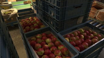 Familiebedrijf uit Nieuwerkerken levert fruit aan Vlaamse overheid