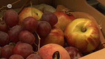 Familiebedrijf uit Nieuwerkerken levert fruit aan Vlaamse overheid