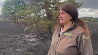 Agentschap Natuur en Bos meet schade op na heidebrand