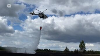 Hulpdiensten oefenen met blushelikopter op Mechelse Heide na heidebrand