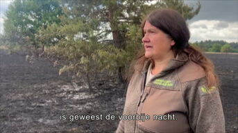 TVL Nieuws, 23 mei 2025