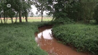 Het regent eindelijk maar dat lost gevolgen van aanslepende droogte niet op