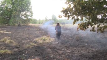 Onderzoek naar grote natuurbrand Mechelse Heide nog steeds bezig