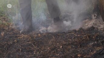 Onderzoek naar grote natuurbrand Mechelse Heide nog steeds bezig