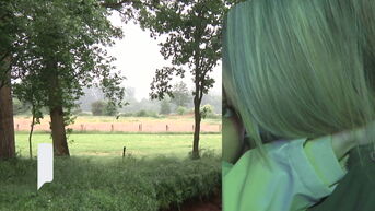 TVL Nieuws van zaterdag 24 mei 2025