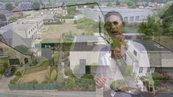 WONEN - ARCHITECTUUR: Diepenbeek