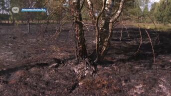 Brand Mechelse Heide is aangestoken: vier brandhaarden ontdekt