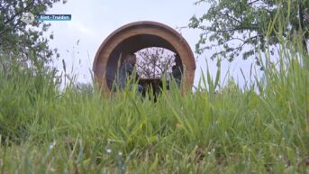 Zorggroep Myna opent groene zones om helende omgevingen te creëren