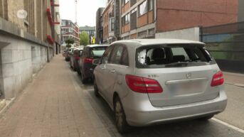 Politie arresteert vandaal na ravage aan tientallen auto’s in centrum Hasselt