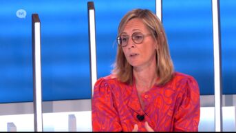 Ondervoorzitter Frieda Gijbels (N-VA): 