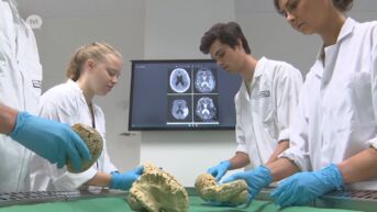 Recorddeelname toelatingsexamen is goed nieuws voor masteropleiding geneeskunde aan de UHasselt