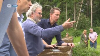 Waterkwaliteit van de Stiemerbeek is verbeterd