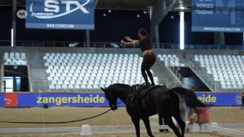 Peltse Jolien Aerts timmert aan carrière in acrobatische voltige-discipline van de paardensport