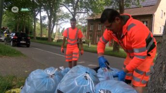 87 procent van afvalophalers ervaart wekelijks gevaarlijk rijgedrag tijdens het werk