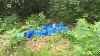 Parket rolt recordaantal drugslabo's op in Limburg
