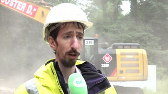 Marijn Struyf (De Werkvennootschap): 