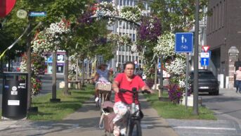 Hasselt activeert in 1 jaar 315 mensen met leefloon naar job