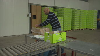 Limburgs fruitverdeler roept op om Chiquita bananen te boycotten: 