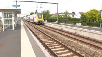 Vooruit Limburg: 