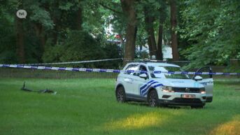 Onrust bij Limburgse politiekorpsen over agent die is aangehouden nadat hij 11-jarige Fabian doodreed