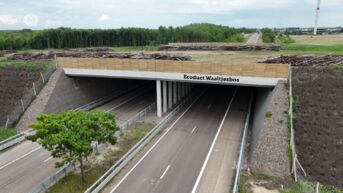 Nieuw ecoduct verbindt Waaltjesbos met Bosland