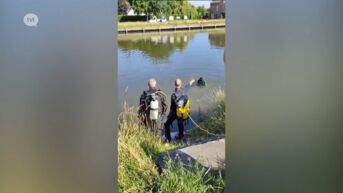 Automobilist valt in slaap en rijdt met wagen in Zuid-Willemsvaart in Maasmechelen