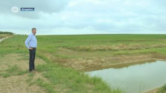 Gingelom gebruikt erosiebuffers straks ook tegen droogte