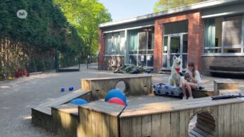 Leesoffensief mist doel: kwetsbare leerlingen worden over het hoofd gezien