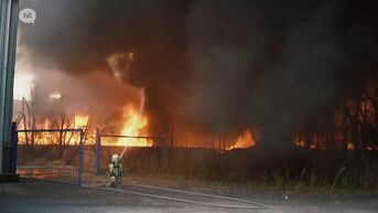 Zware brand in recyclagebedrijf in Houthalen-Helchteren is onder controle