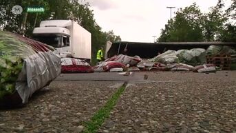 Vrachtwagen crasht in middenberm op E313 in Hasselt
