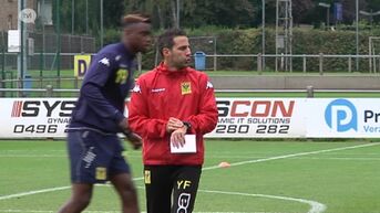 Ferrera leidt gewoon de trainingen bij STVV