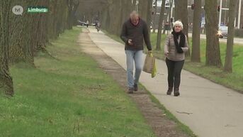 Het was de warmste 24 januari sinds 1901