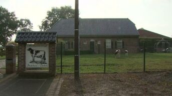 167 boerderijen geblokkeerd na uitbraak rundertbc in Meeuwen