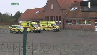 Twaalf kinderen gewond na aanval van dolle hond op speelplaats lagere school in Paal-Beringen
