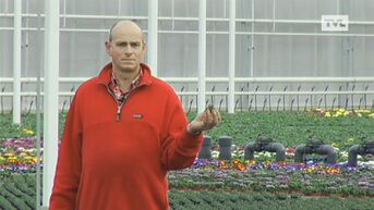 Wakker op de Akker:  Sierteler Stefan Peters kweekt het hele jaar door bloemen