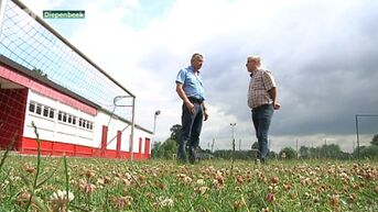 Voetbalbond verpest Diepenbeekse derby