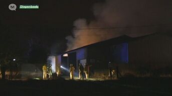 Brandweer blust hele nacht voor stalbrand in Diepenbeek