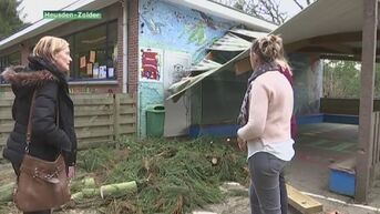 Kleuterschool in Heusden-Zolder ontruimd door stormschade