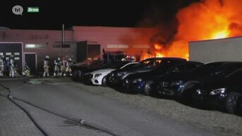 6 Mercedessen gaan in vlammen op bij brand in Bree