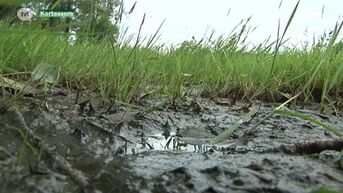 Geen kampen voor jeugdbewegingen door wateroverlast in Kortessem?