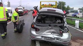 Automobilist veroorzaakt ravage in Bree