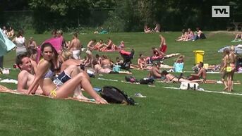 Het wordt zomer: dinsdag eerste echt warme dag van het jaar