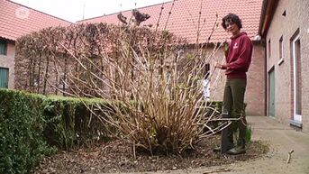 Natuurlijk!