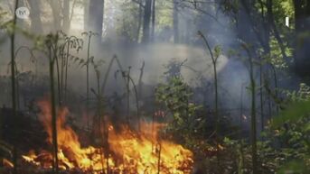Verschillende korpsen uitgerukt voor bosbrand in Voeren