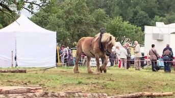 Bilzen: Land- en tuinbouwdag in Alden Biesen