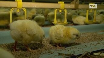 Wakker op de akker: Jonge landbouwers op spiegelreis