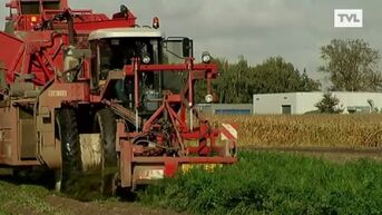 Vlaanderen pompt 600.000 euro in Agropolis