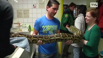 De opgevangen dieren stellen het goed