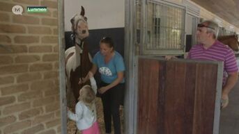 Lummense paardenchirurg redt verminkt paard