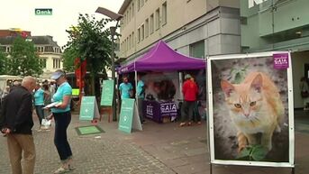 GAIA voert campagne tegen proeven op honden en katten